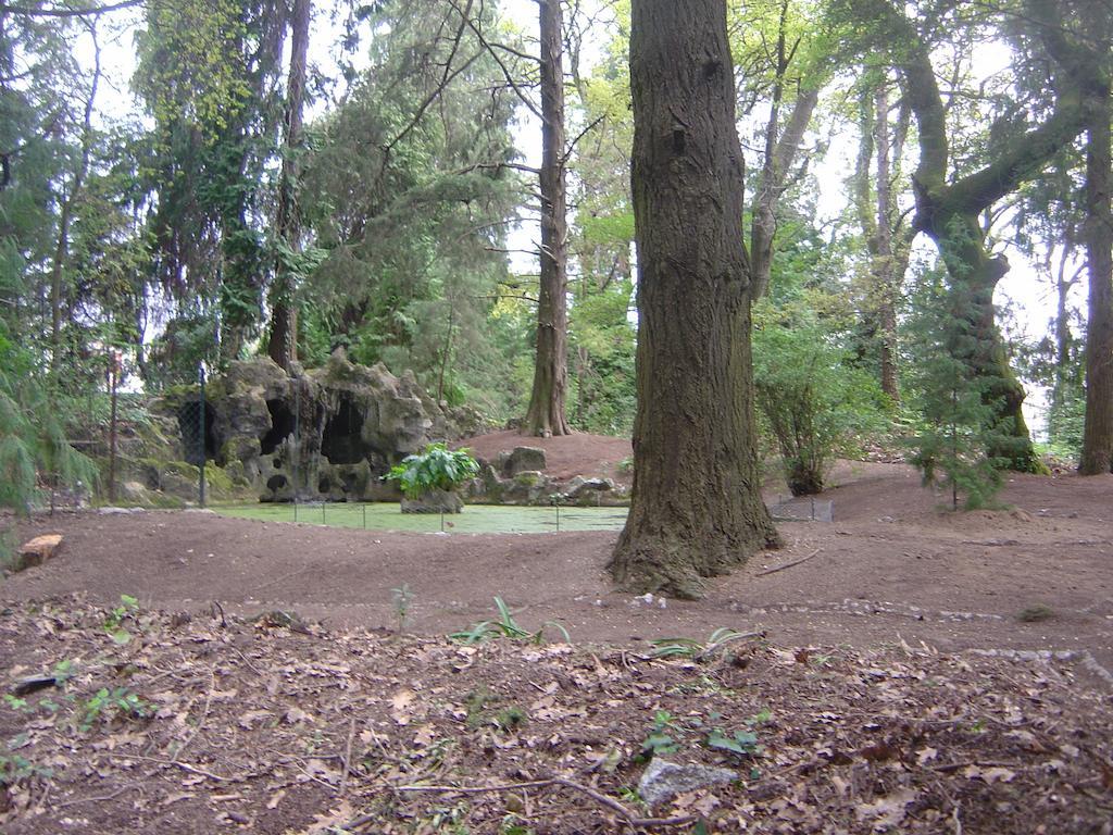 埃斯皮霍萨住宿加早餐旅馆 吉马良斯 外观 照片