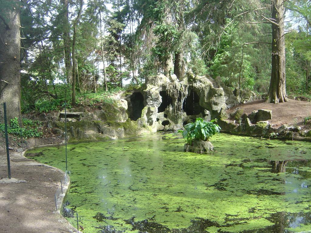 埃斯皮霍萨住宿加早餐旅馆 吉马良斯 外观 照片